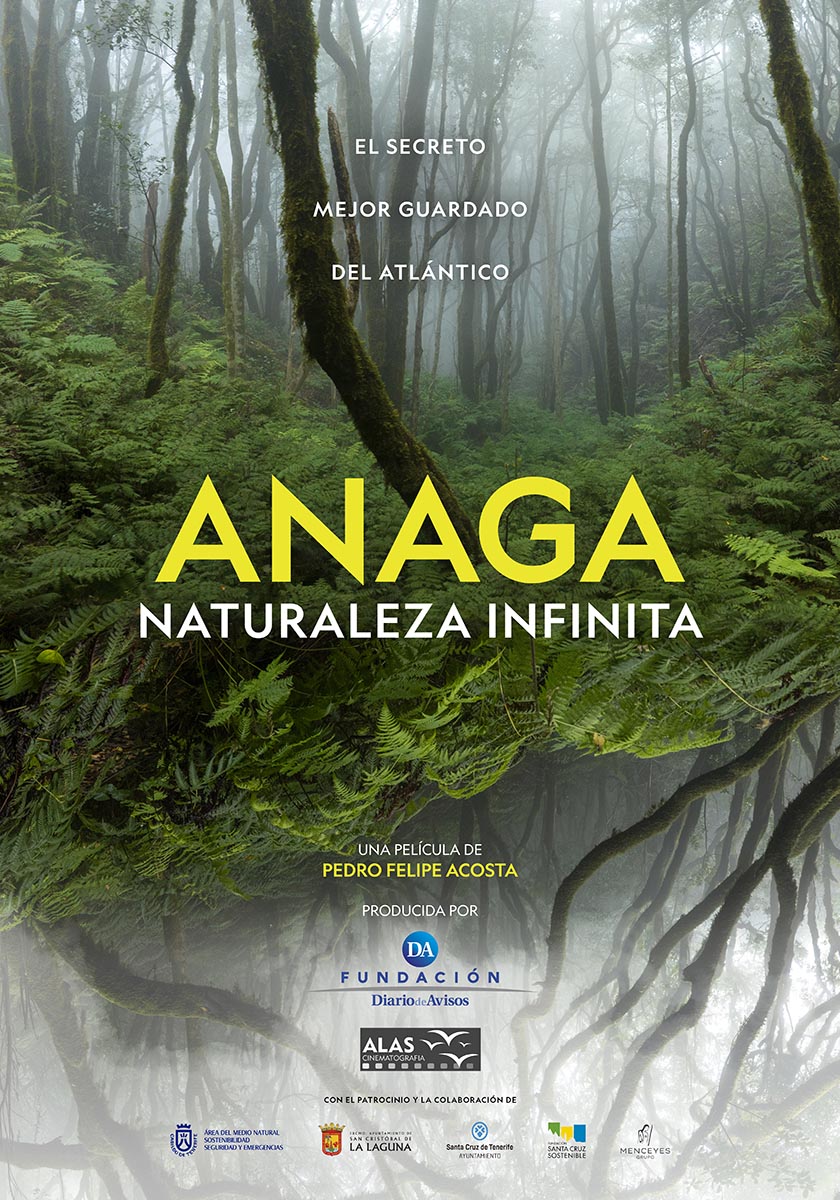 Anaga